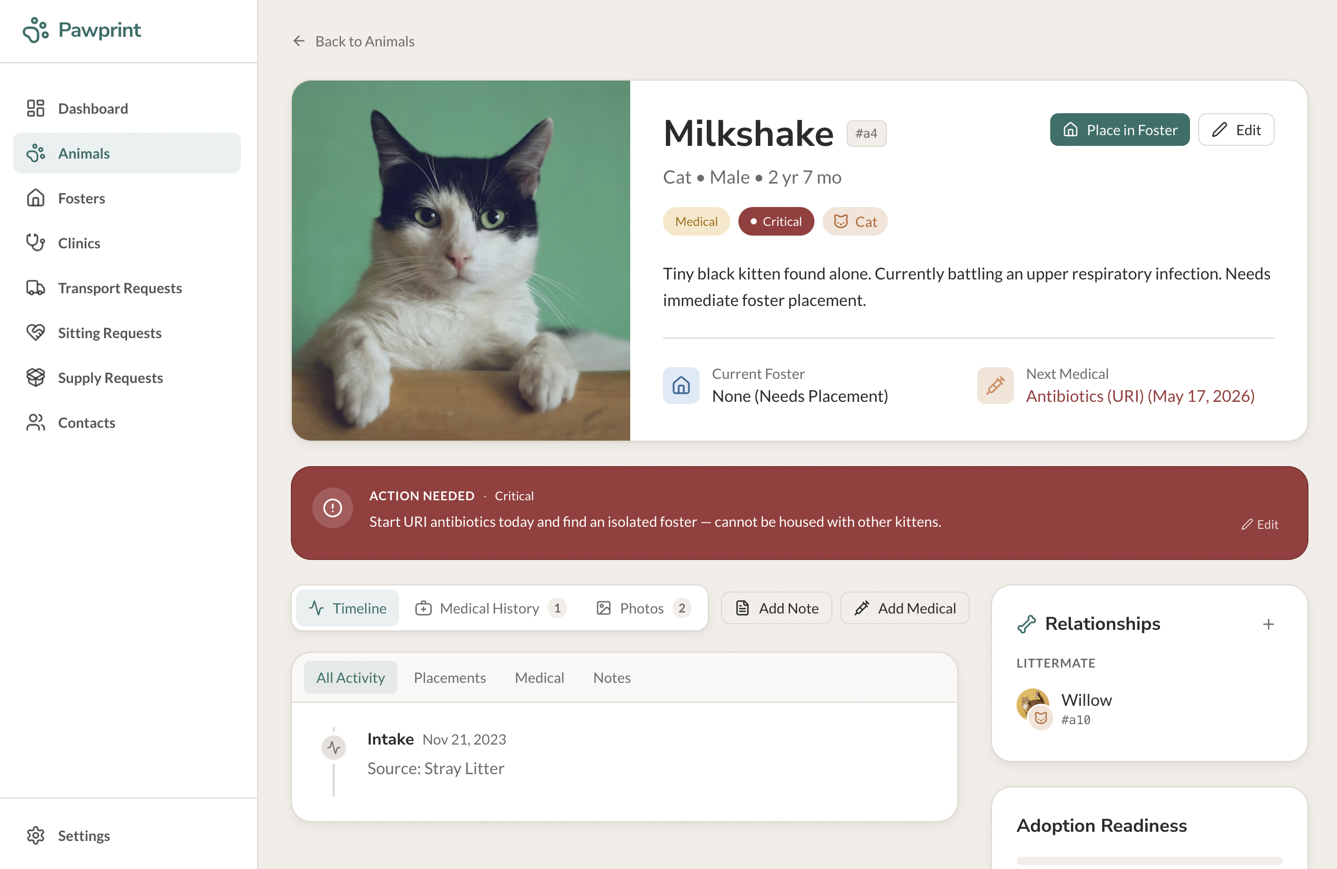 Whiskerville animal view showing details of a pet within the organization's database.